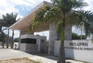 Foto: Macaíba no Ar