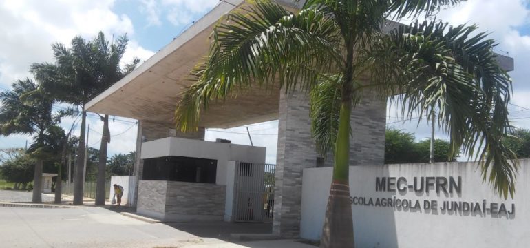 Foto: Macaíba no Ar